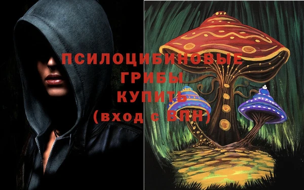 прущая мука Арсеньев