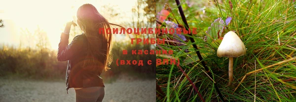 гидропоника Аркадак